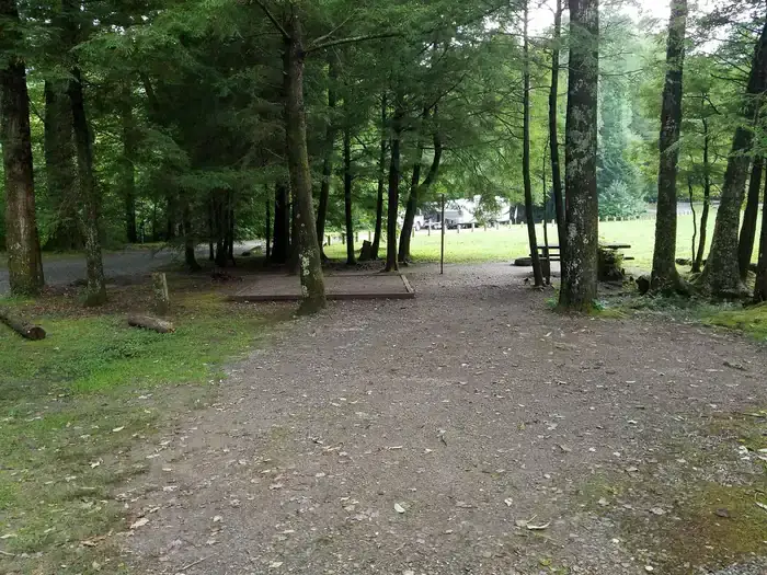 Camper-submitted photo at Black Mountain Campground - CLOSED INDEFINITELY near Swannanoa, NC