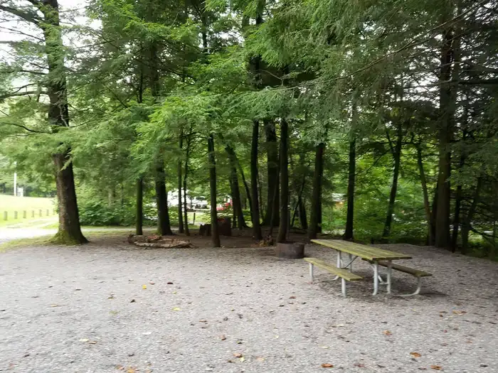 Camper-submitted photo at Black Mountain Campground - CLOSED INDEFINITELY near Swannanoa, NC