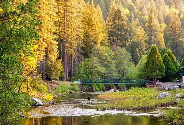 Camper-submitted photo at Thousand Trails Yosemite Lakes near Long Barn, CA
