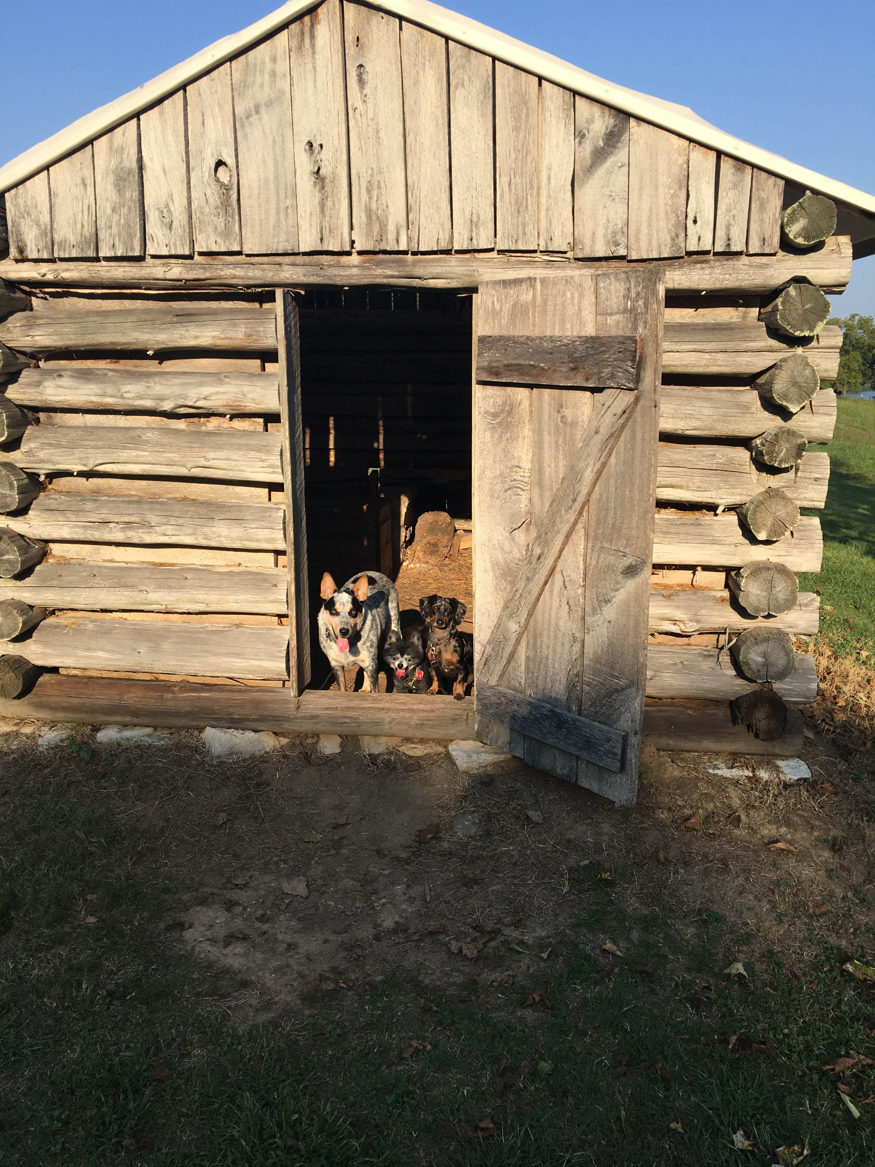 Shelly S.'s photo of glamping accommodations at Piney Campground near Dickson, TN