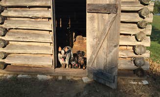 Shelly S.'s photo of a cabin at Piney Campground near Springville, TN