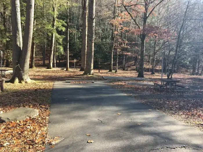 Camper-submitted photo at Smokemont Campground — Great Smoky Mountains National Park in North Carolina