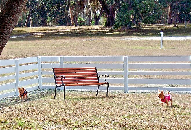 The Dyrt's photo of camping with pets at Encore Bulow RV near Ormond Beach, FL