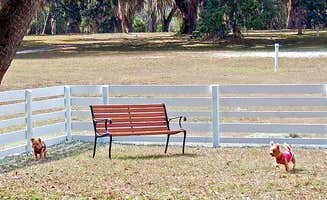 The Dyrt's photo of camping with pets at Encore Bulow RV near Palm Coast, FL