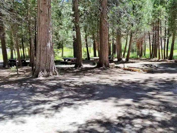 Camper submitted image from Long Meadow Group Campground - 1