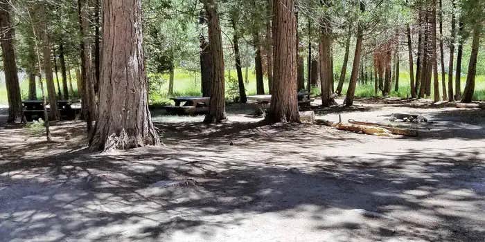 Camper submitted image from Long Meadow Group Campground