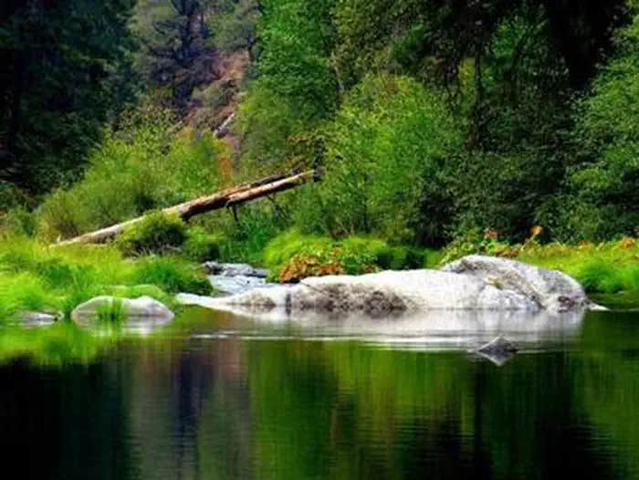 Camper submitted image from Bridal Veil Group Area And Picnic Ground - 1