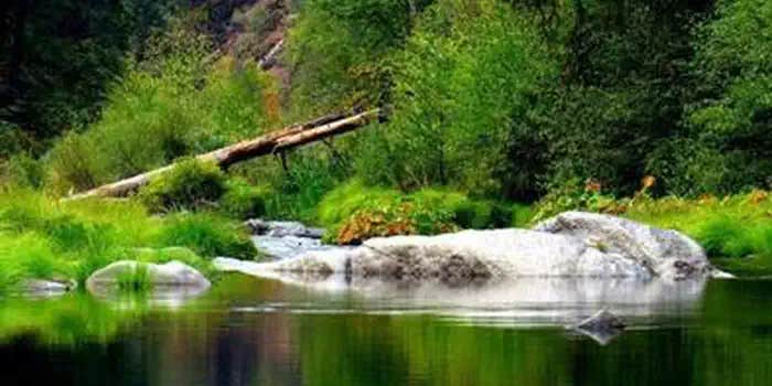 Camper submitted image from Bridal Veil Group Area And Picnic Ground