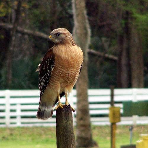 Camper-submitted photo at Encore Bulow RV near Bunnell, FL