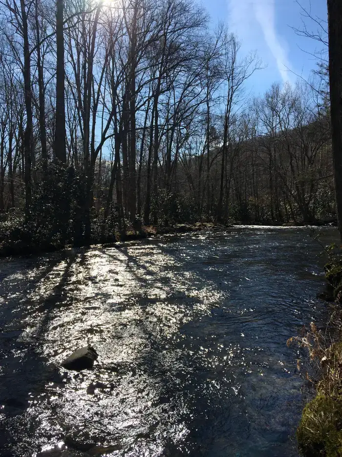 Smokemont Campground — Great Smoky Mountains National Park