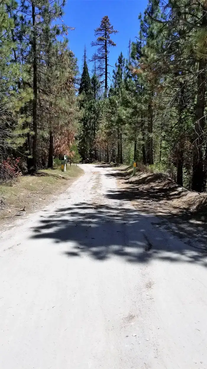 Camper-submitted photo at Long Meadow Group Campground near Onyx, CA