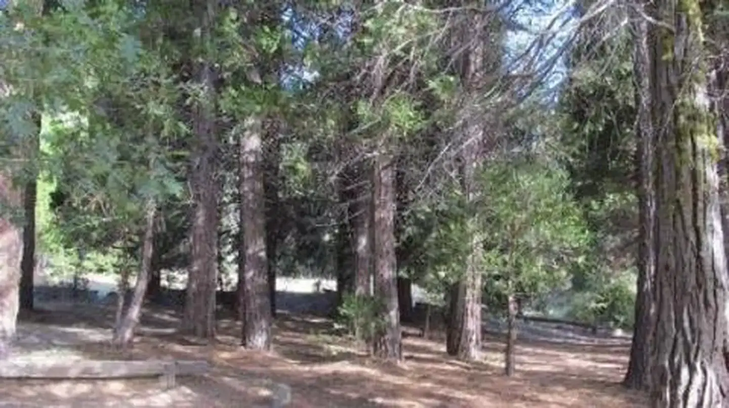 Camper-submitted photo at Long Meadow Group Campground near Onyx, CA