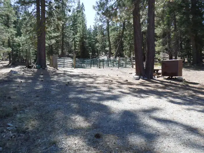 Camping near Union Flat: Packsaddle, Sierra City, California