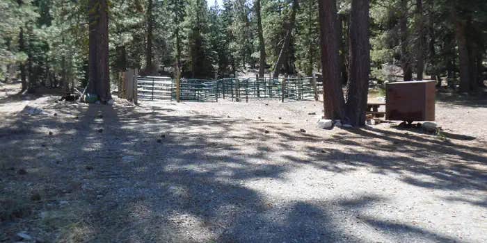 Camper submitted image from Packsaddle