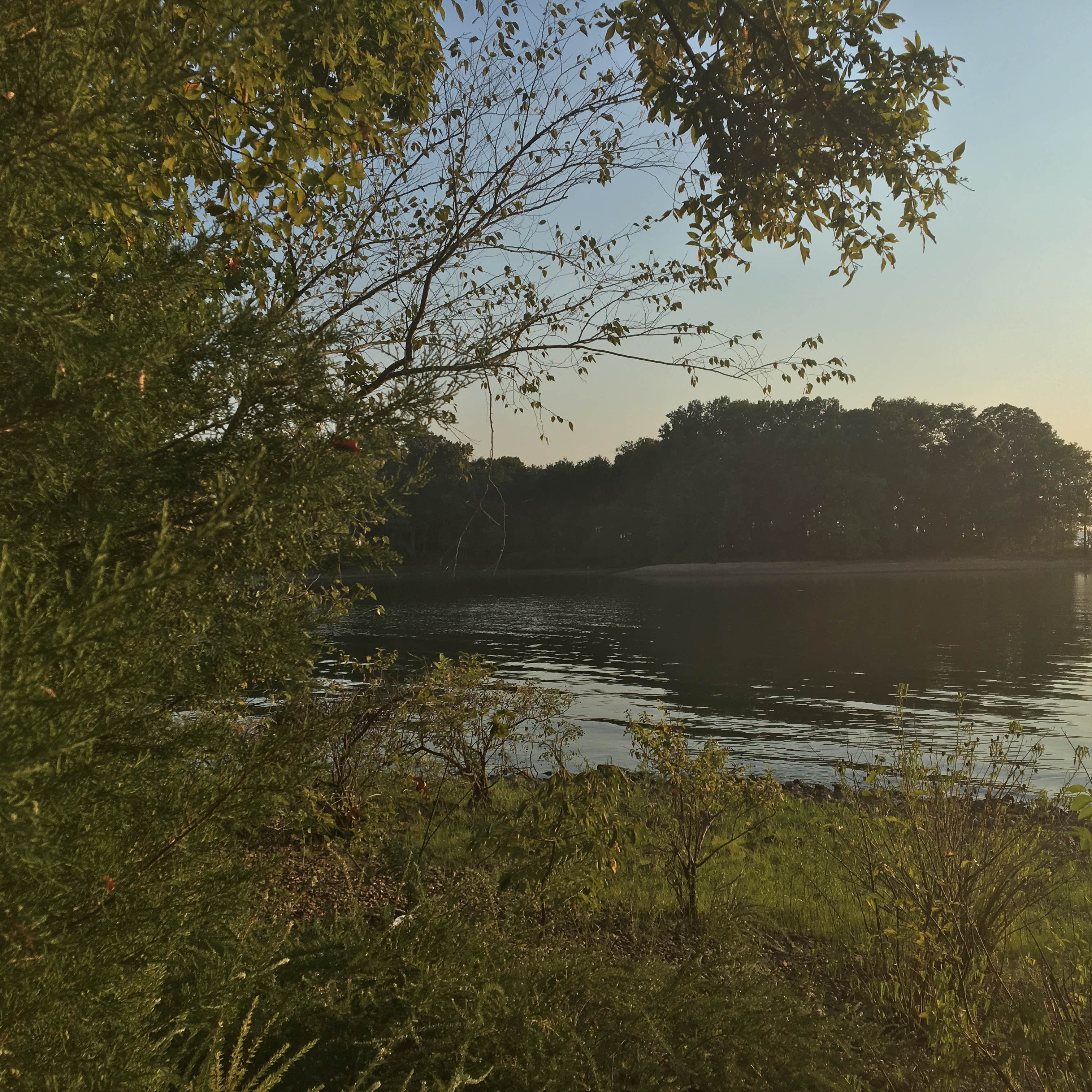 Piney Campground Camping The Dyrt