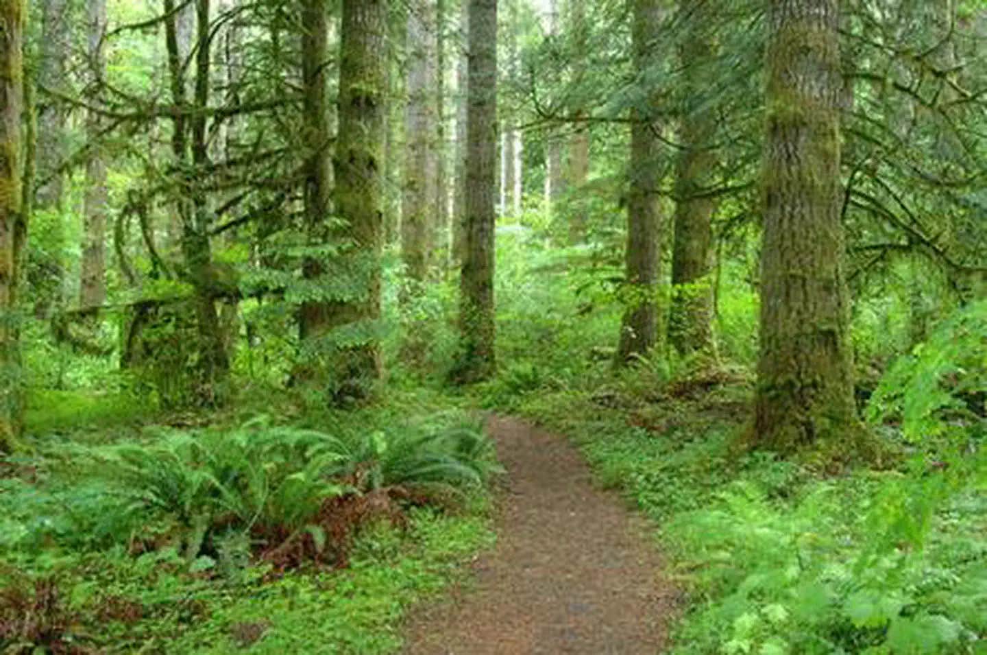 Camper submitted image from Interrorem Cabin - 1