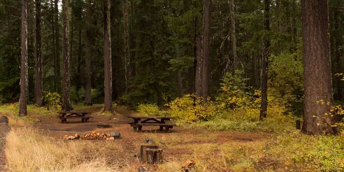 Camper submitted image from Atkisson Group Camp