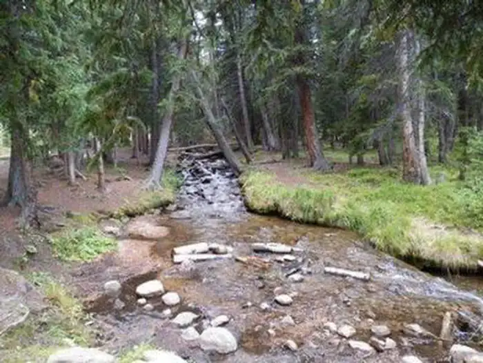 Camper-submitted photo at Guanella Pass near Silver Plume, CO