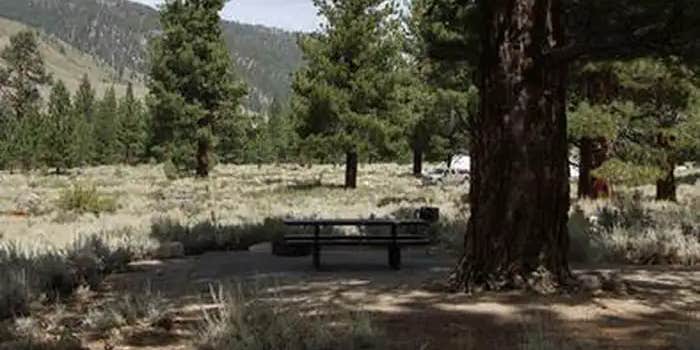 Camper submitted image from Crags Campground