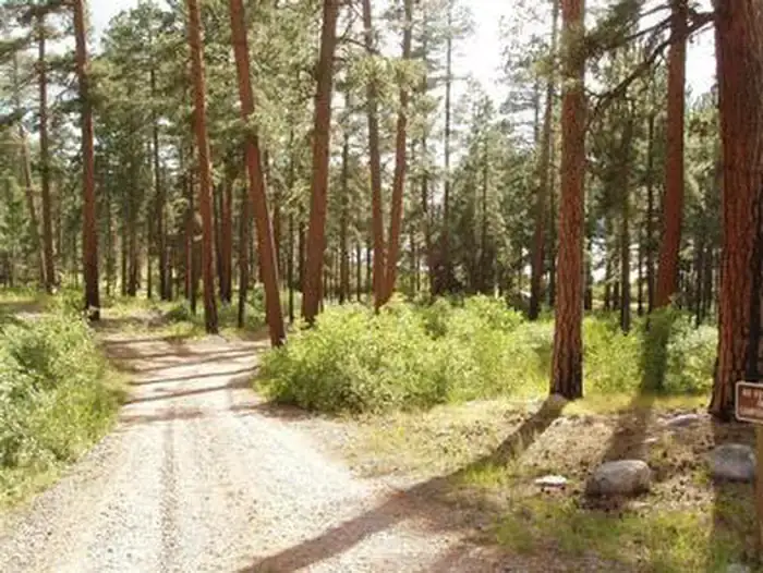 Camping near Vallecito Resort: North Canyon Campground, Bayfield, Colorado