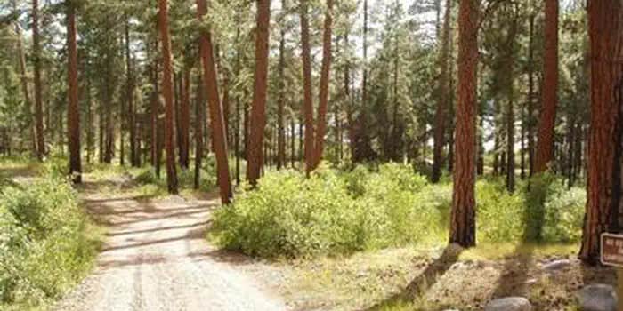 Camper submitted image from North Canyon Campground