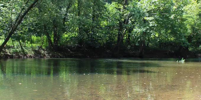 Camper submitted image from Craig Creek Recreation Area