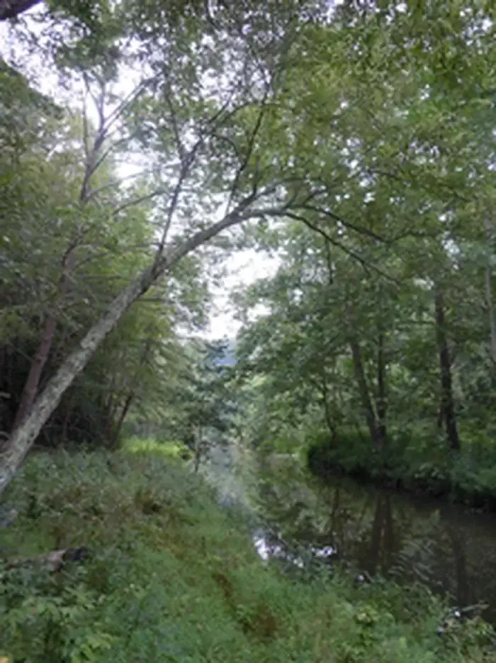 Camper-submitted photo at Chopawamsic Backcountry Camping — Prince William Forest Park near Brooke, VA