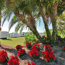 Lake Magic RV Resort Camping | The Dyrt
