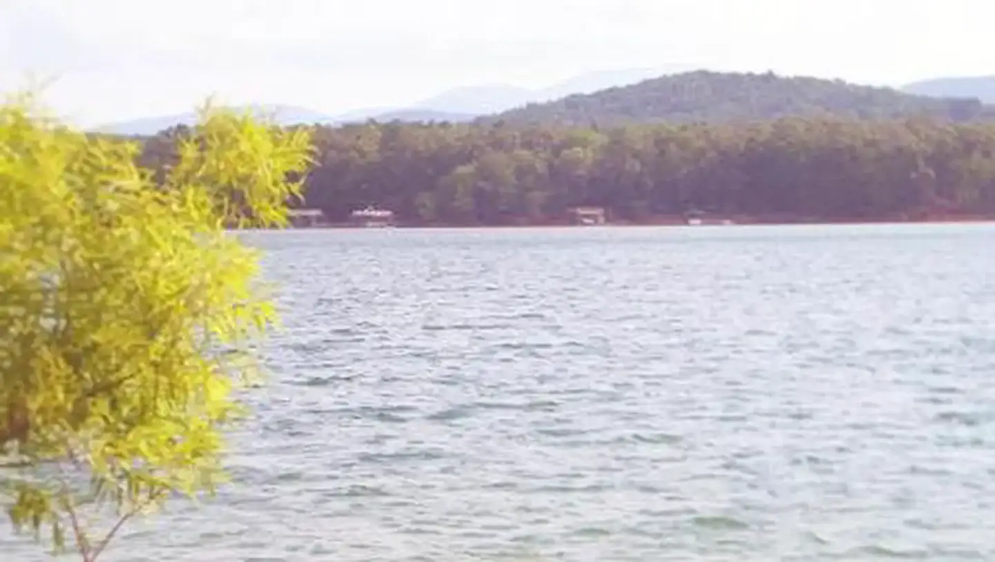 Camper-submitted photo at Morganton Point Campground near Murphy, NC