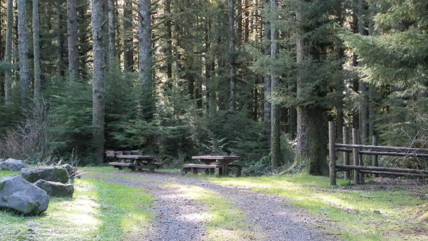 Camper submitted image from Horse Creek Campground — Siuslaw National Forest - 1
