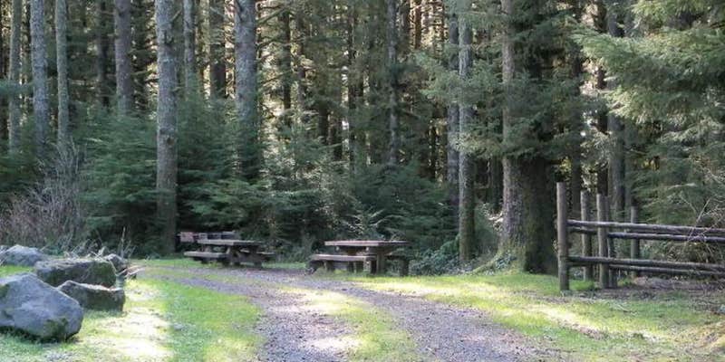 Camper submitted image from Horse Creek Campground — Siuslaw National Forest