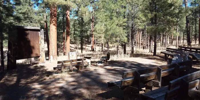Camper submitted image from Jemez Falls Campground