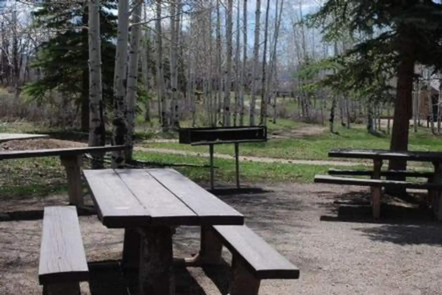 Camper-submitted photo at Transfer Campground near Norwood, CO