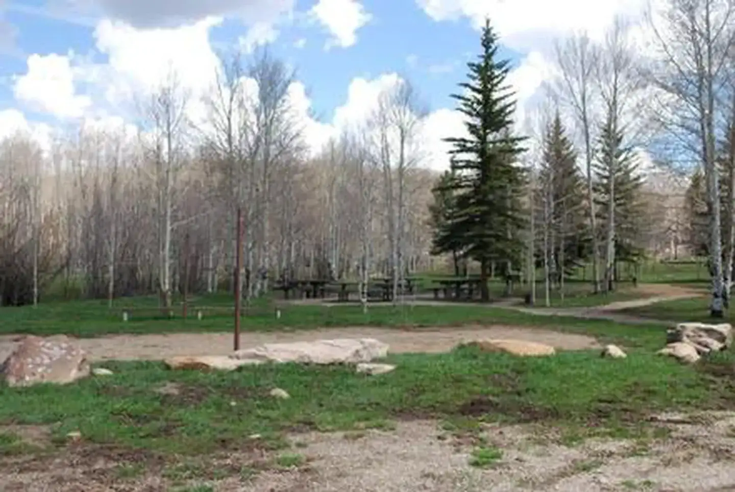 Camper-submitted photo at Transfer Campground near Norwood, CO