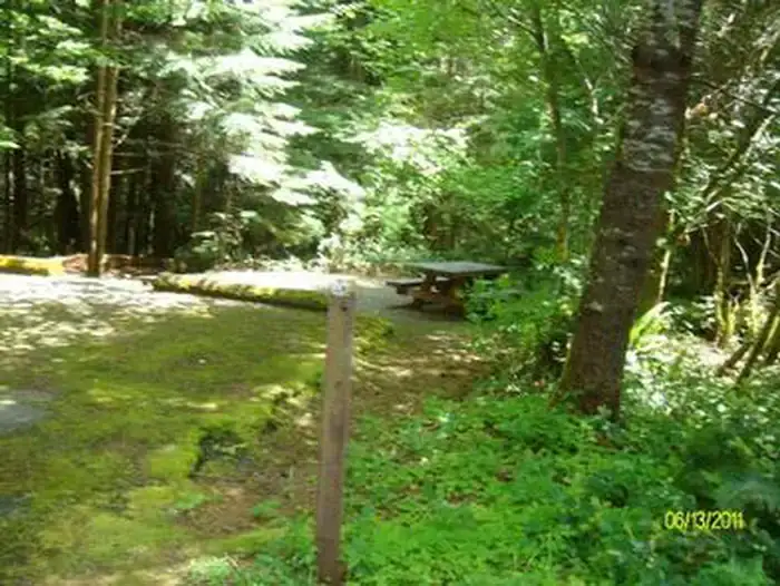 Camper-submitted photo at Mona Campground near Mckenzie Bridge, OR