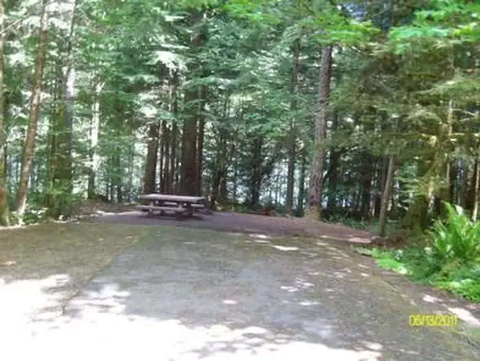 Camper-submitted photo at Mona Campground near Mckenzie Bridge, OR