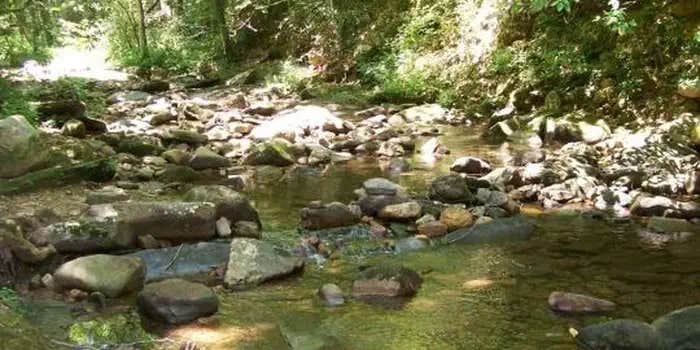 Camper submitted image from Parksville Lake RV Campground