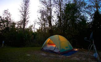 The Dyrt's photo at Thousand Trails Orlando near Lake Alfred, FL