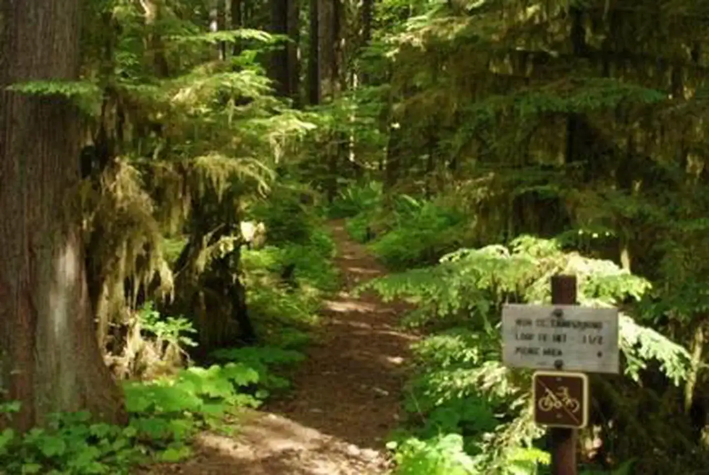Camper-submitted photo at Iron Creek Campground near Elbe, WA