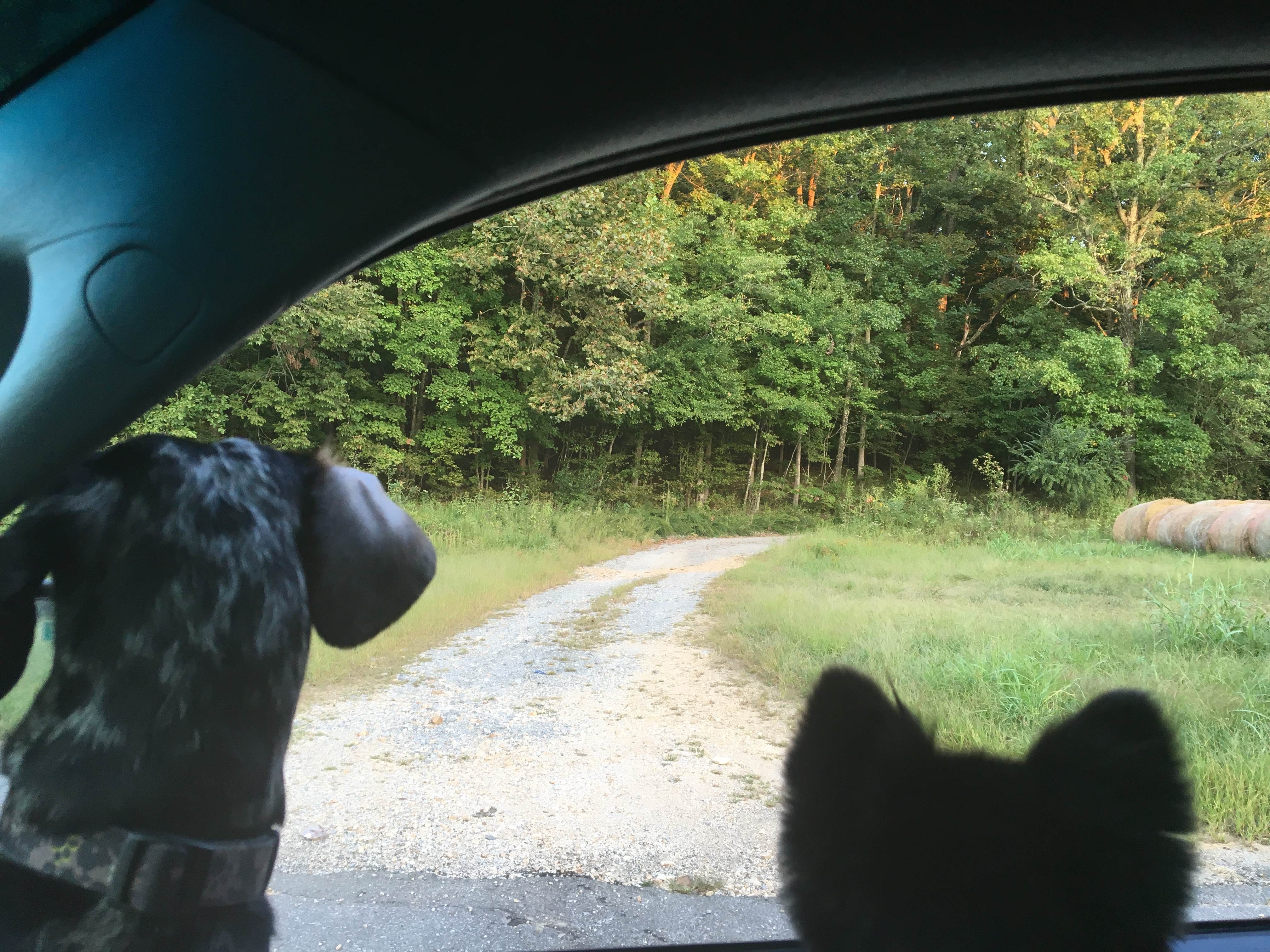 Camper-submitted photo at Gatlin Point near Bumpus Mills, TN