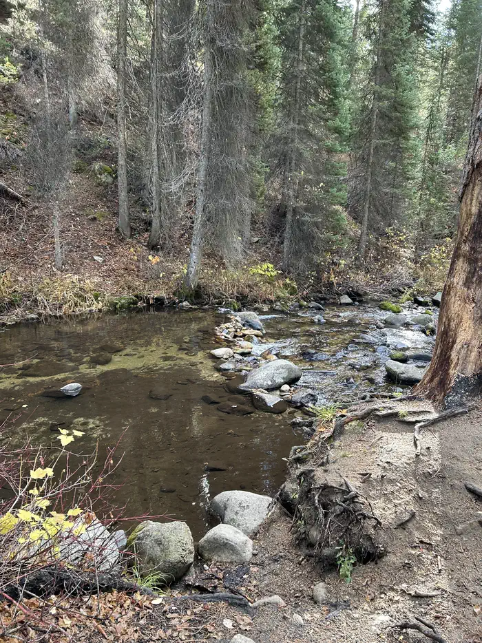 Camper-submitted photo at Ten Mile Campground near Idaho City, ID