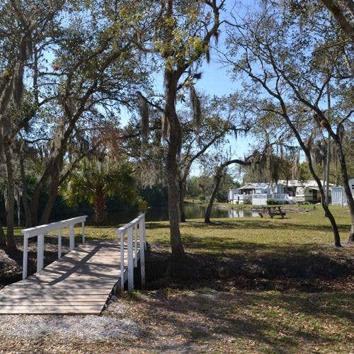 Camper-submitted photo at Encore Ramblers Rest near Bokeelia, FL