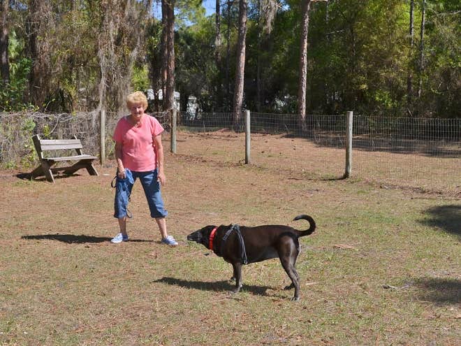 The Dyrt's photo of camping with pets at Encore Ramblers Rest near Englewood, FL