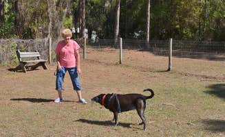 The Dyrt's photo of camping with pets at Encore Ramblers Rest near Nokomis, FL