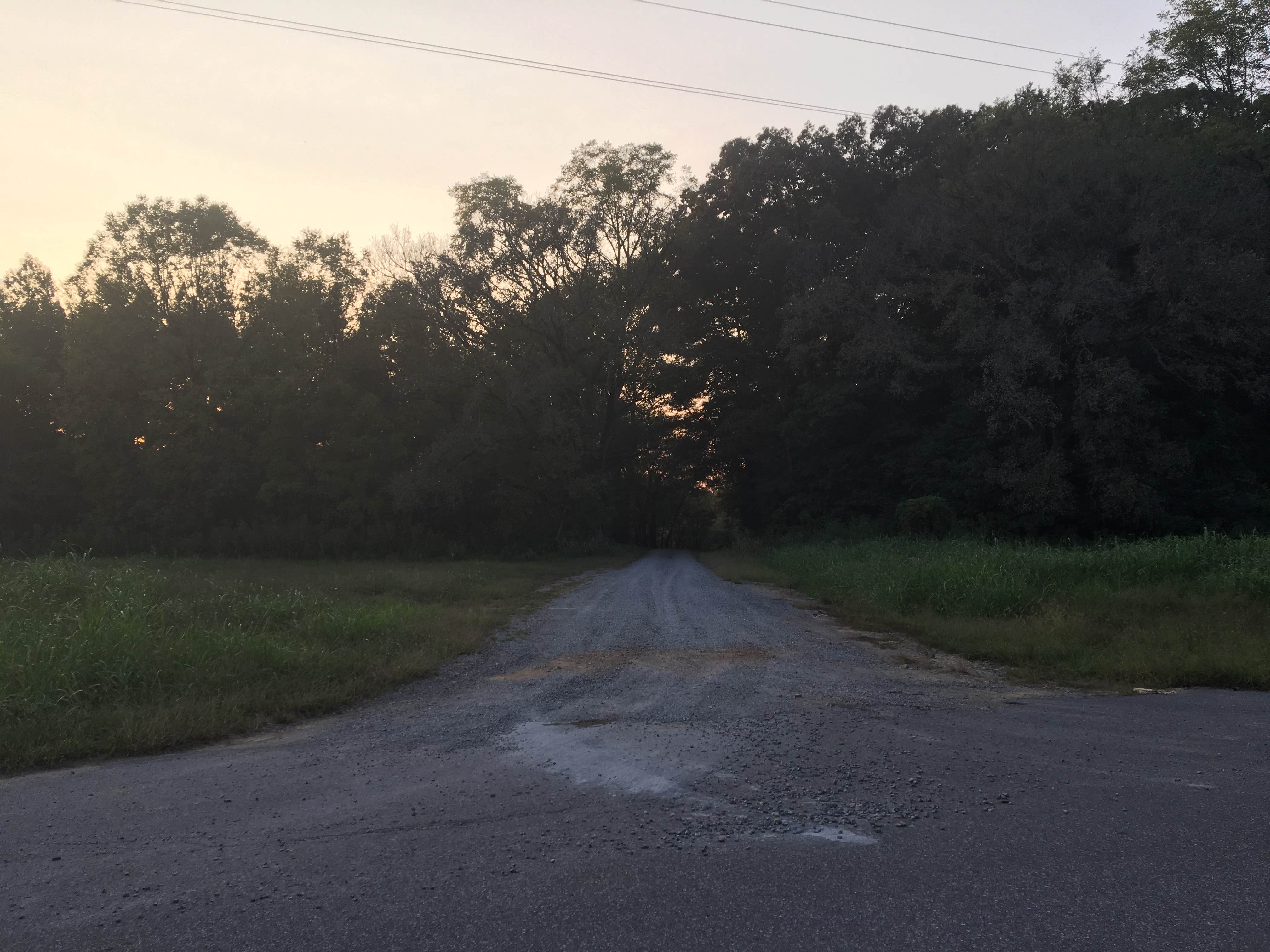 Camper submitted image from Redd Hollow - 4
