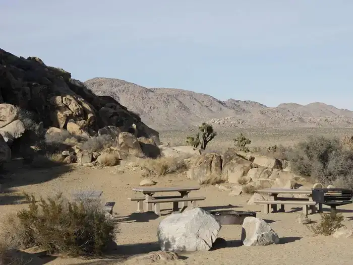 Camping near Boy Scout Trail Backcountry Sites — Joshua Tree National Park: Sheep Pass Group Campground — Joshua Tree National Park, Twentynine Palms, California