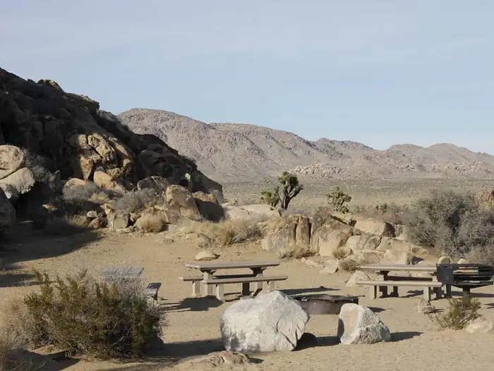 Camper submitted image from Sheep Pass Group Campground — Joshua Tree National Park - 1