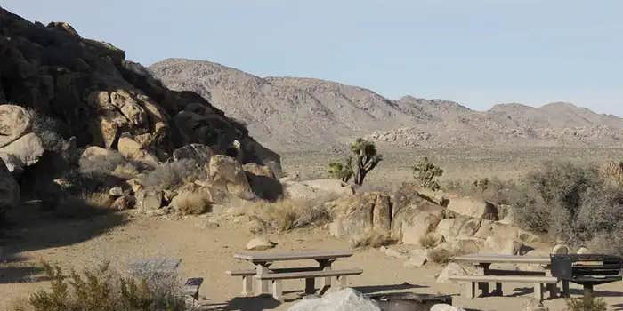 Camper submitted image from Sheep Pass Group Campground — Joshua Tree National Park