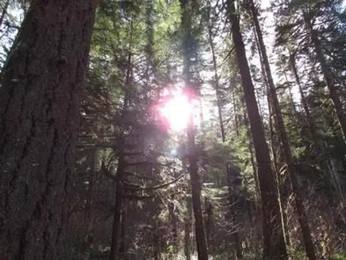 Camper-submitted photo at Rujada Campground near Cottage Grove, OR