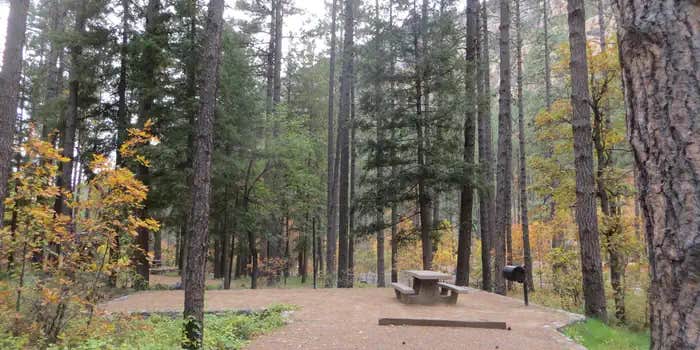 Camper submitted image from Pine Flat Campground West